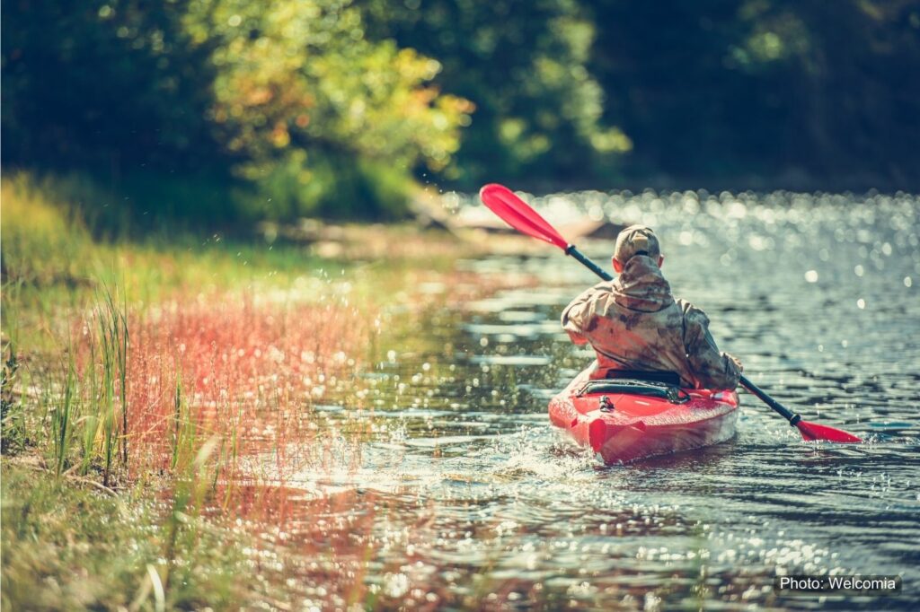 A person in a red kayak paddling along a shoreline
